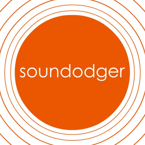 Soundodger+ (Plus) (2014) PC | Лицензия