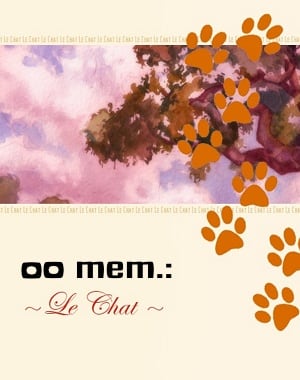 00 mem.: Le Chat (2009) PC | Пиратка
