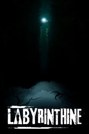 Labyrinthine [Build 20260405 + DLC - Supporter Edition] (2023) PC | RePack от Pioneer