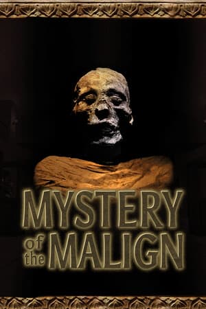 Mystery of the Malign [Build 21451937] (2025) PC | Пиратка [Portable]