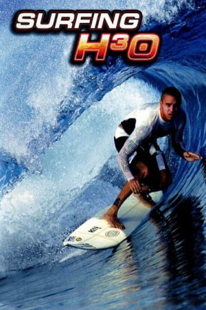 Surfing H3O (2000) PC | Пиратка