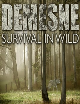Demesne [v 0.11.1.0] (2016) PC | Пиратка