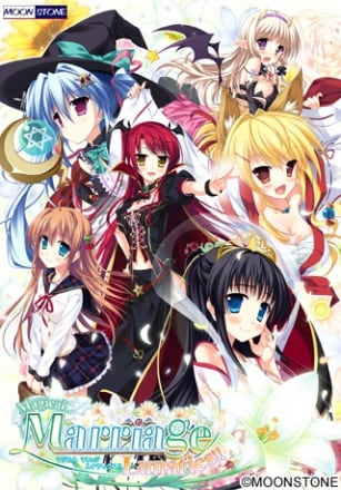 Magical Marriage Lunatics!! [v 1.0] (2013) PC | Пиратка