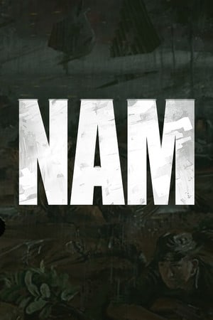 NAM [v 1.0 (36587)] (2014) PC | Лицензия [GOG]