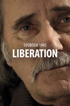 Svoboda 1945: Liberation [v 1.1 (60661)] (2021) PC | Лицензия [GOG]