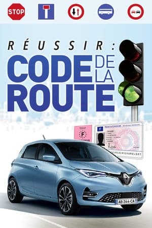 Reussir: Code de la Route - Nouvelle Edition [Build 15109244] (2019) PC